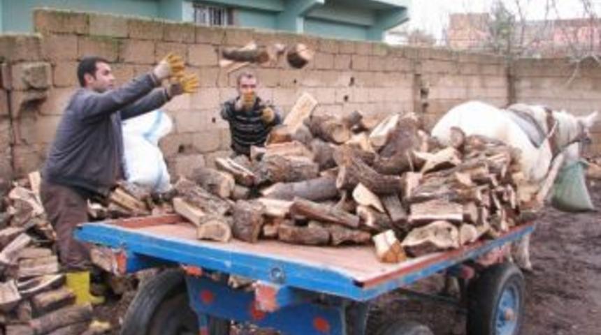 Odun Ve K&ouml;m&uuml;r Sezonu A&ccedil;ıldı