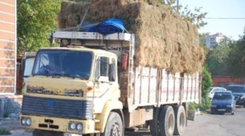 Sahte Parayla Bir Kamyon Yonca Aldı, Lastiği Patlayınca Yakalandı