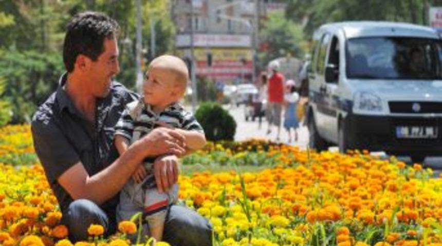 Sincan 460 Bin Kadife &Ccedil;i&ccedil;eği Ile Renklendi