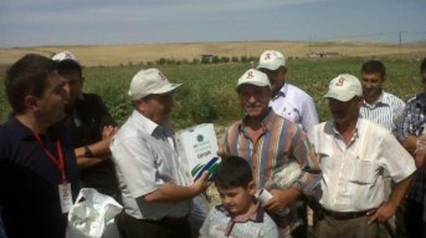 Sungurlu&rsquo;da Pancar G&uuml;n&uuml; Yapıldı