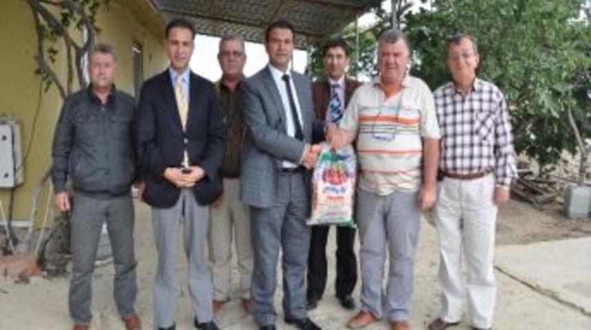 G&uuml;rb&uuml;z&rsquo;den &Ccedil;eltik Harmanlarına İnceleme