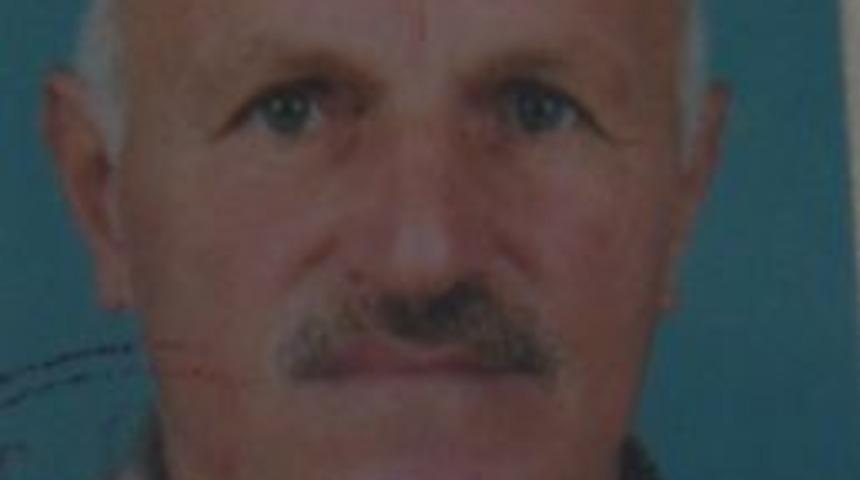 Ceviz Ağacından D&uuml;şen Şahıs Hayatını Kaybetti