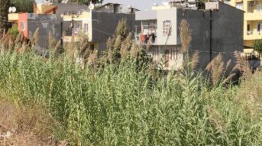 A&ccedil;ıkta Kanalizasyona Muhtar Tepkisi