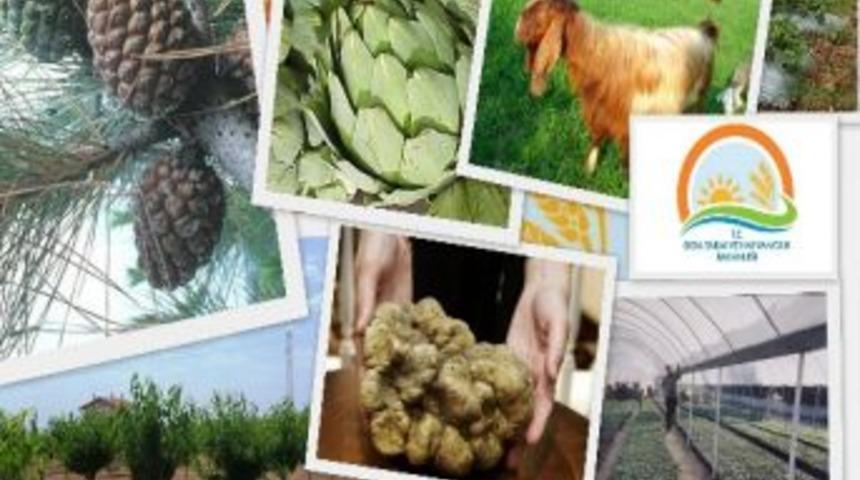 Yatağan&rsquo;da Alternatif Tarım &Ccedil;alışmaları