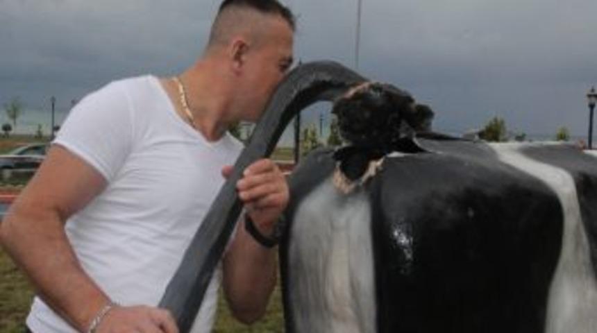 Hayvan Heykelleri Yerle Bir Edildi