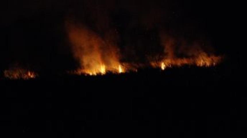 Göksu Deltası'nda Yangın