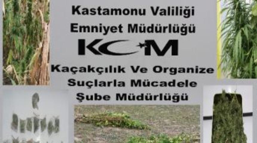 Kastamonu&rsquo;da Uyuşturucu Tacirlerine Baskın