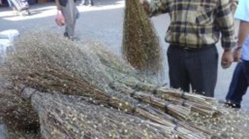 Karaot Ge&ccedil;im Kaynağı Oldu