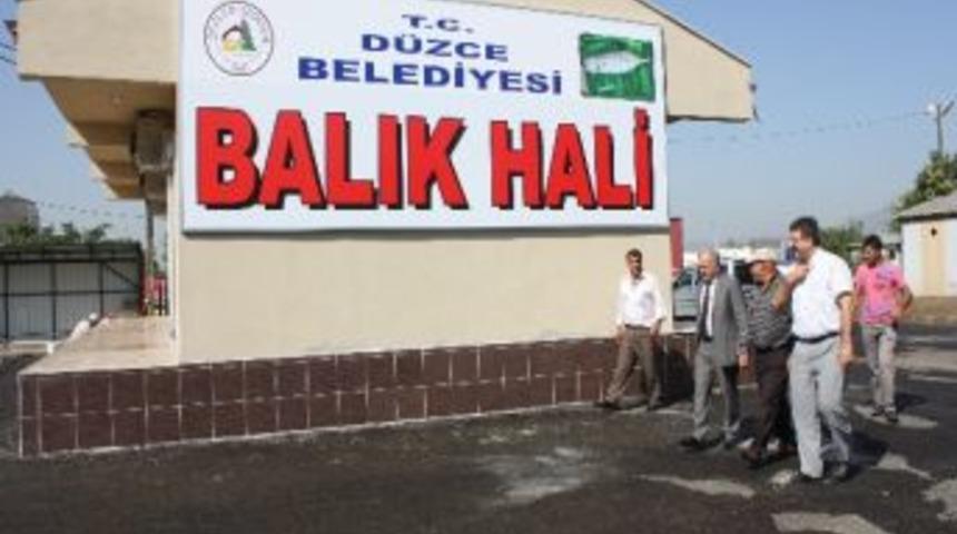 D&uuml;zce Balık Dağıtım Merkezi Hizmete Giriyor