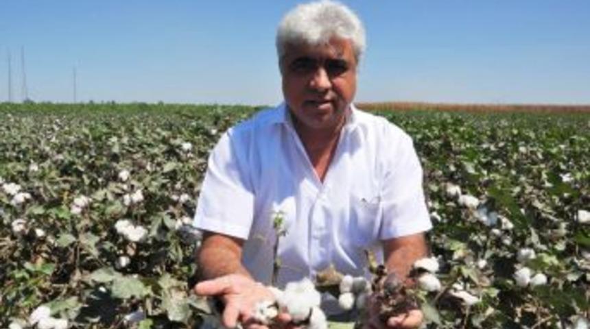 Yeter: alım fiyatı 2 lira 24 krş olmalı