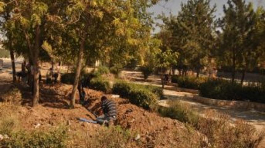 Batman Belediyesi'nde Sonbahar Seferberliği