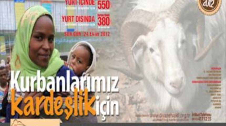 Diyanet Vakfı&rsquo;ndan Kurban Organizasyonu