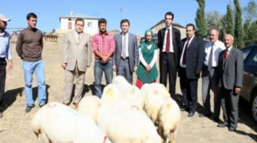 T&uuml;rkiye İkincisi Kadın &Ccedil;ift&ccedil;i &Ouml;d&uuml;llendirildi