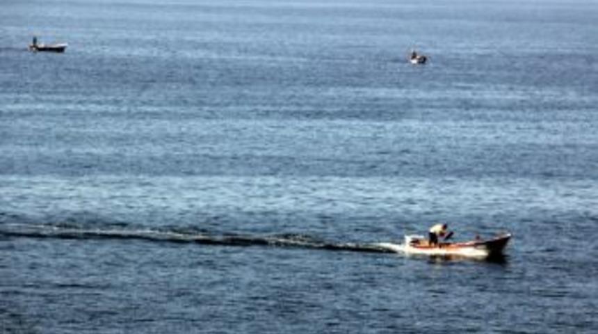 Balık Bereketi, Amat&ouml;r Balık&ccedil;ıları Bile Denize D&ouml;kt&uuml;