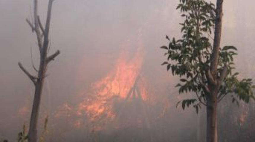 Bah&ccedil;e Alev Alev Yandı