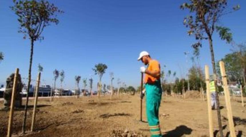 Marina&rsquo;nın &Ccedil;ehresi Değişiyor