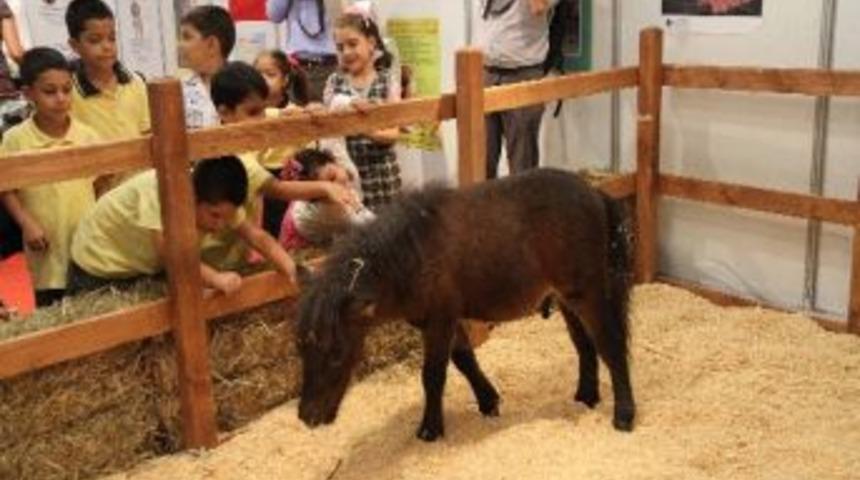 Karamel İle Karşıyaka Fuarın G&ouml;zdesi Oldu