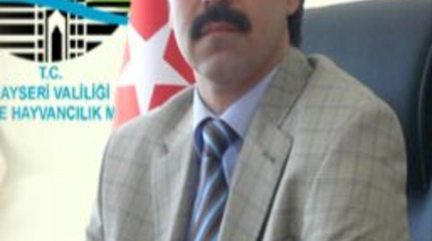 Türkiye’nin Çerezlik Kabak Çekirdeği Kayseri’den