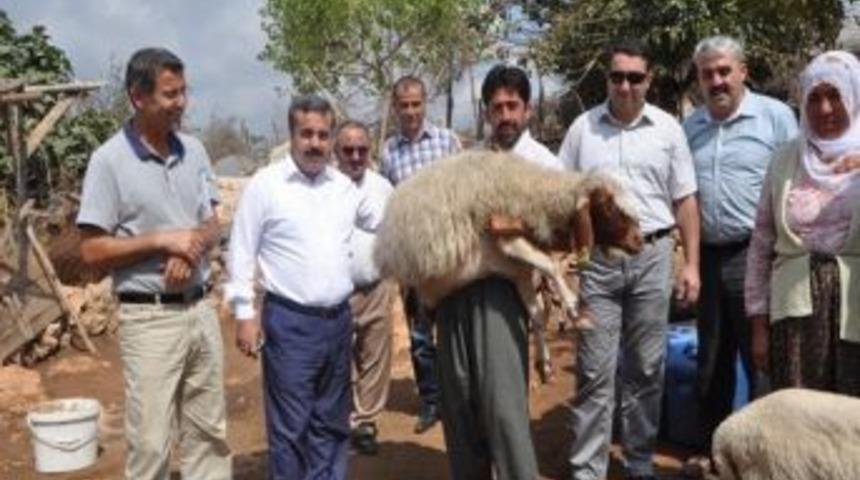 Orman K&ouml;yl&uuml;lerine 1 Milyon Lira Kredi Verilecek