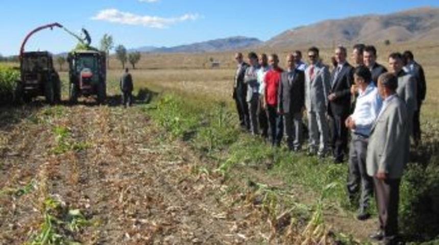 Kelkit’te Çiftçilere Tarla Günü Düzenlendi