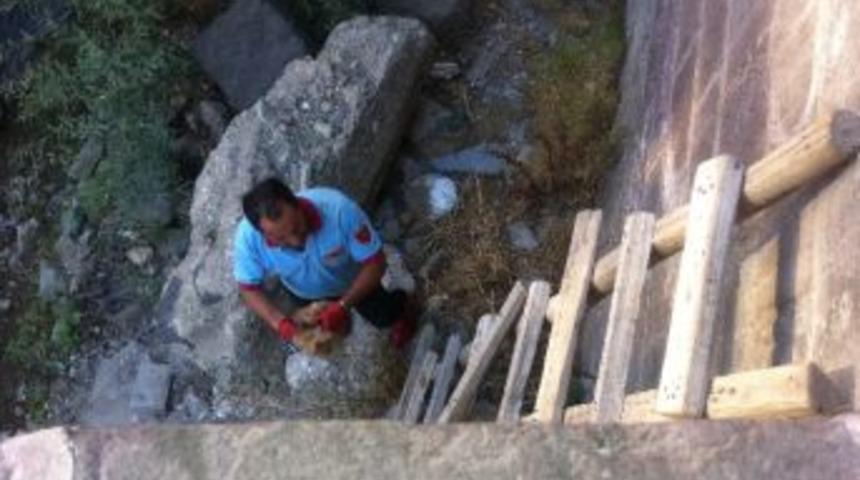 İtfaiye Ekipleri Derede Mahsur Kalan Kediyi Kurtardı