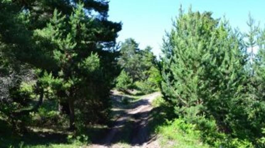 Niksar&rsquo;a Devlet Avlağı