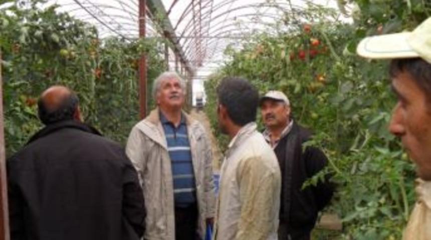 Tarıma Dayalı Ekonomik Destekler A&ccedil;ıklandı