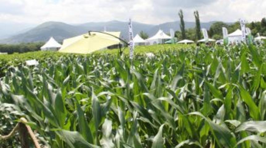 ZMO Başkanı Turhan Tuncer: D&uuml;nya Tarımda B&uuml;y&uuml;k Kaos Bekliyor