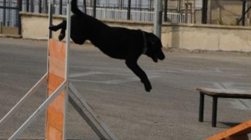 Şanslı &Ccedil;ocuklar