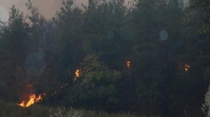 Suriye Sınırındaki Yangın T&uuml;rkiye'ye Sı&ccedil;radı