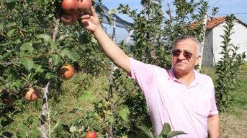 &lsquo;iyi Tarım&rsquo; Ve İyi Sonu&ccedil;