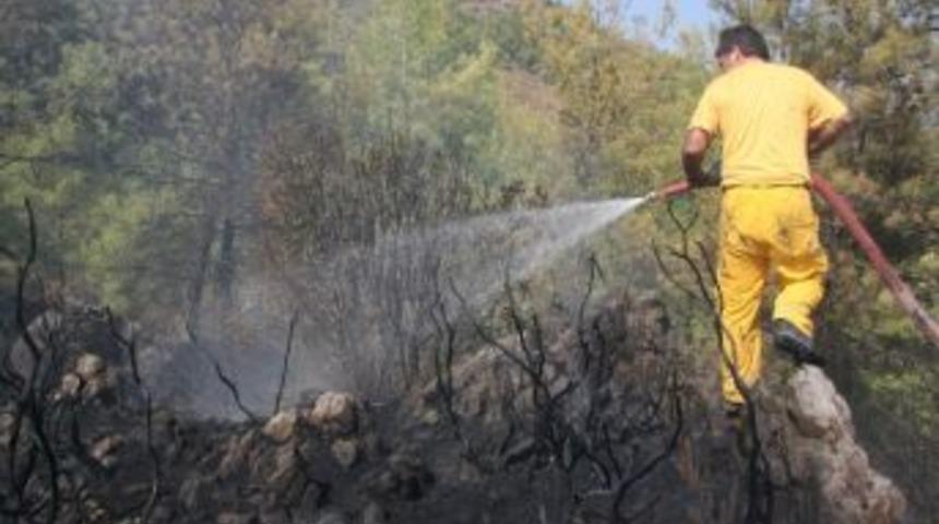 Ortca&rsquo;da Orman Yangını