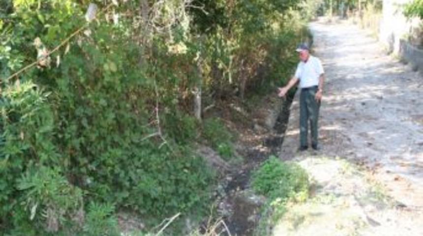 Devrek’te Açıkta Akan Kanalizasyon Tehlike Saçıyor