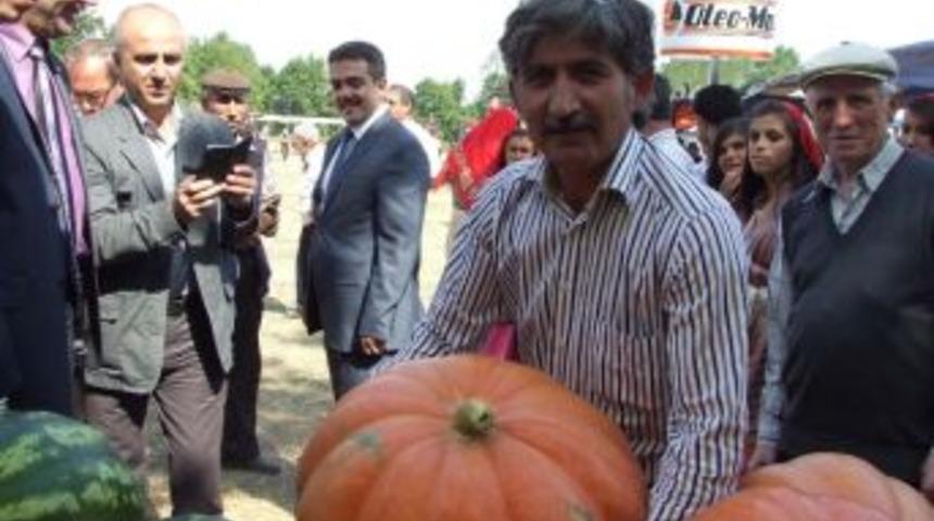 45 Kiloluk Kabak Yetiştirdi