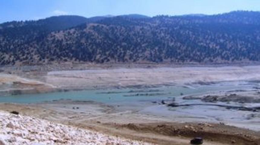 Kaş'ta 500 Bin Balık Telef Oldu