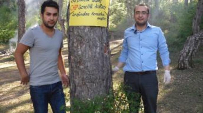 Chp Ara&ccedil; Gen&ccedil;lik Kolları Ormanları Temizledi