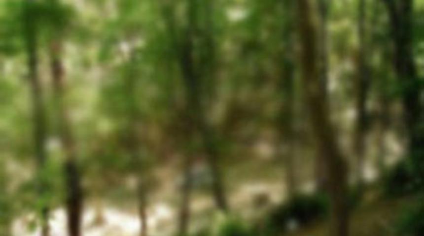 Lİseli gen&ccedil;lere işkence