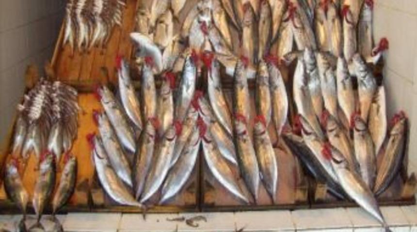 Trabzon'da Balık Tezgahlarındaki Bolluk