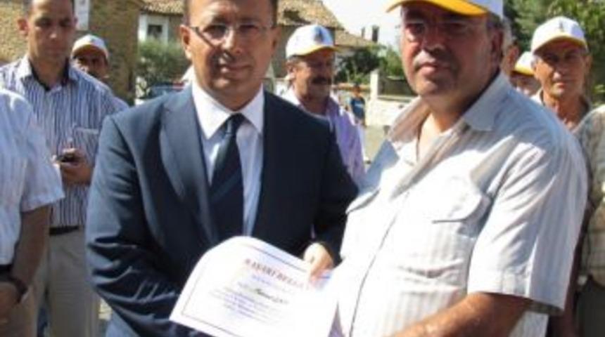 Birgi&rsquo;de İrimağzı İncir Hasadı Heyecanı