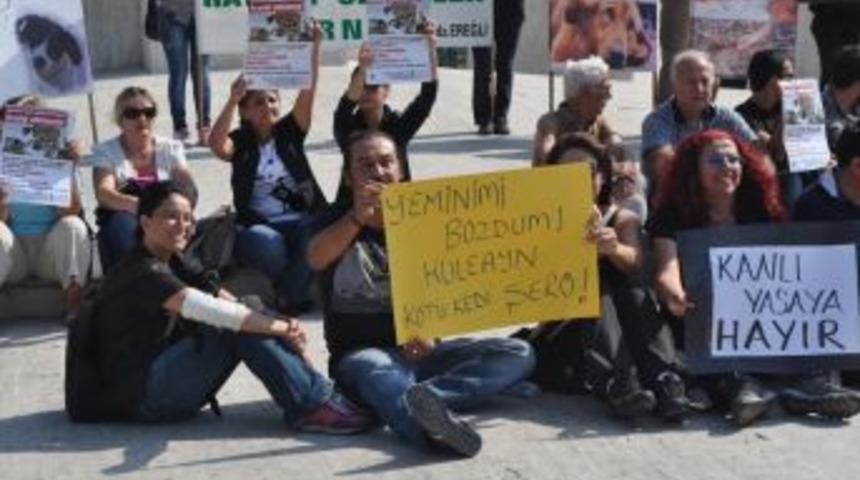 '&Ouml;l&uuml;m yasası' hayvanseverleri sokağa d&ouml;kt&uuml;!..