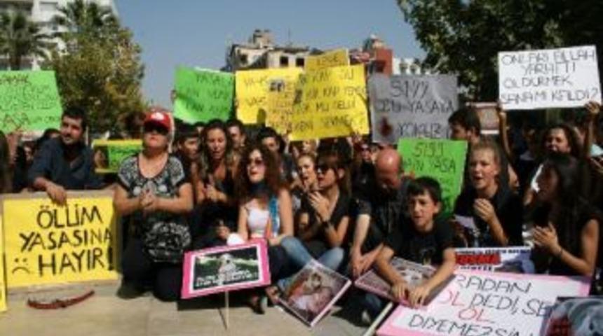 Denizli'de Hayvan Hakları Eylemi