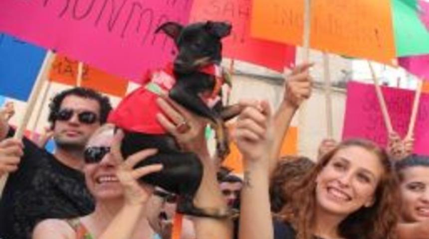 Hayvanseverler Yasa Tasarısını Protesto Etti