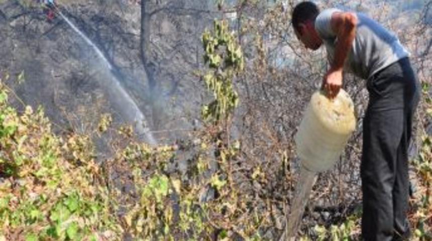 Alanya&rsquo;daki Orman Yangını L&uuml;ks Villalara Sı&ccedil;ramadan S&ouml;nd&uuml;r&uuml;ld&uuml;