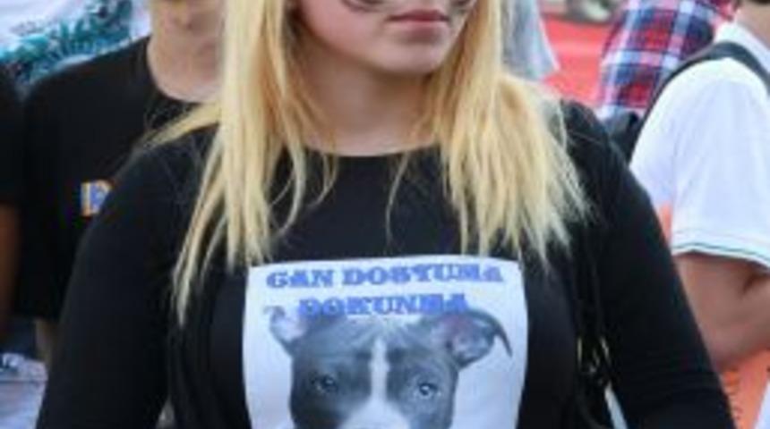 Hayvanseverler 5199 Sayılı Yasa Tasarısı I&ccedil;in Sokaklara D&ouml;k&uuml;ld&uuml;