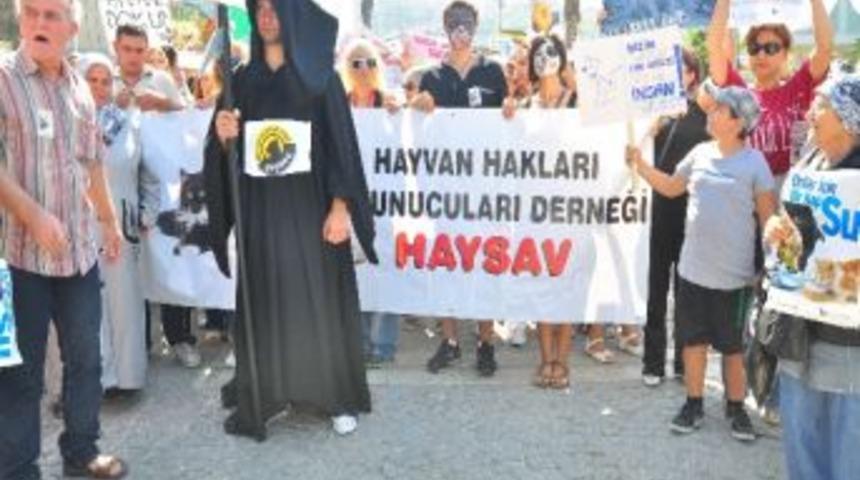 Hayvanlar İ&ccedil;in Binler Y&uuml;r&uuml;d&uuml;