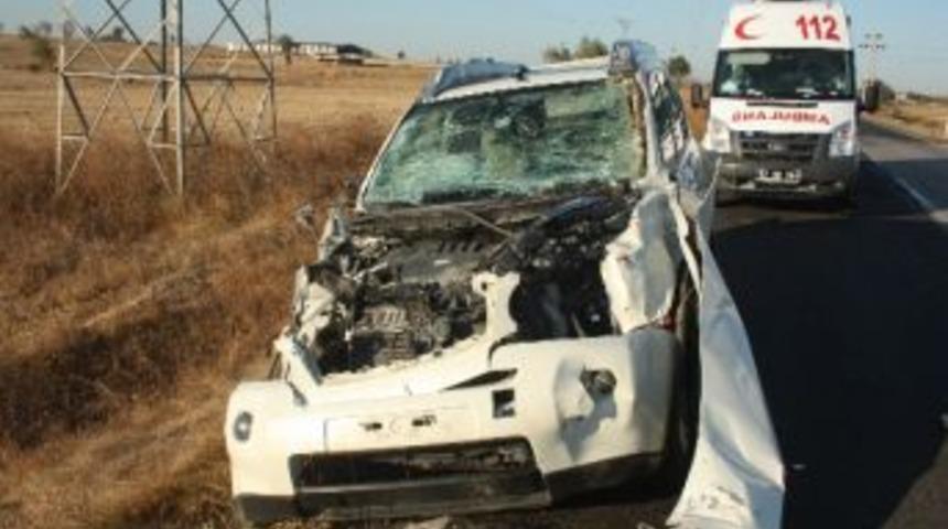 Otomobil, İnek S&uuml;r&uuml;s&uuml;ne Daldı