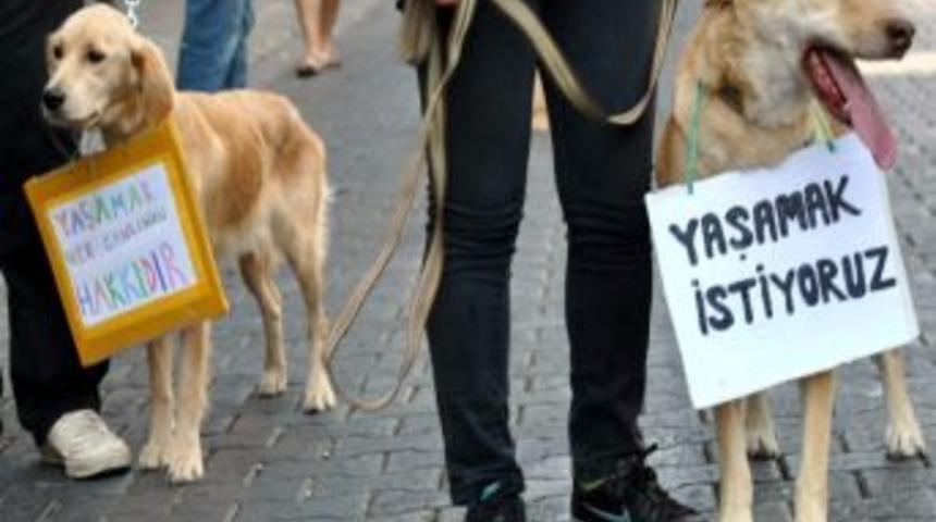 Aydın&rsquo;da Y&uuml;zlerce Kişi Hayvan Hakları İ&ccedil;in Y&uuml;r&uuml;d&uuml;