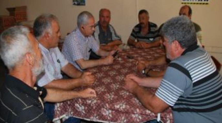 Arı Ve Bal Sekt&ouml;r&uuml;nde Tehlikeli Gelişme