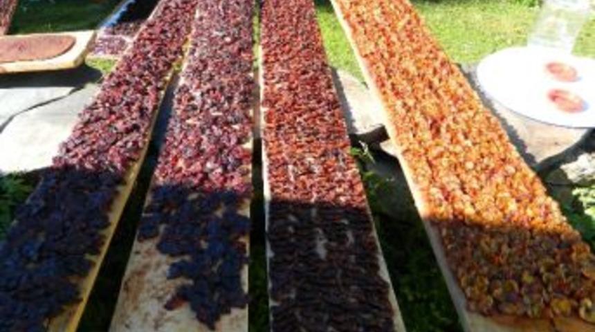 Posof&rsquo;ta Kış Hazırlığı