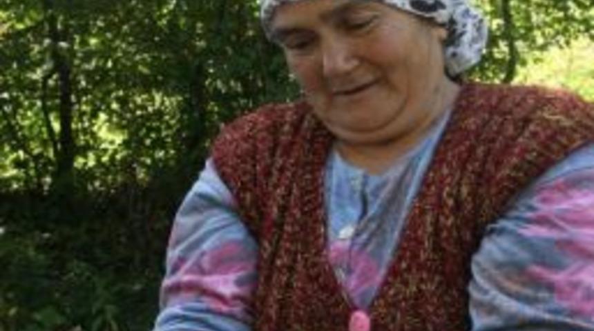 Kestane K&ouml;yl&uuml;lere Ge&ccedil;im Kaynağı
